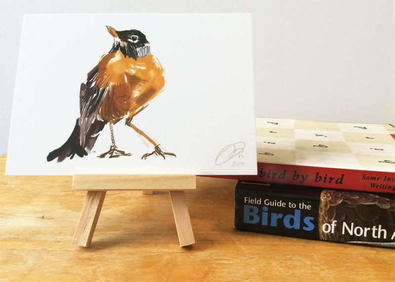 How I began drawing birds