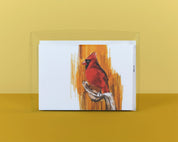 Bird Greeting Card Variety Box Set