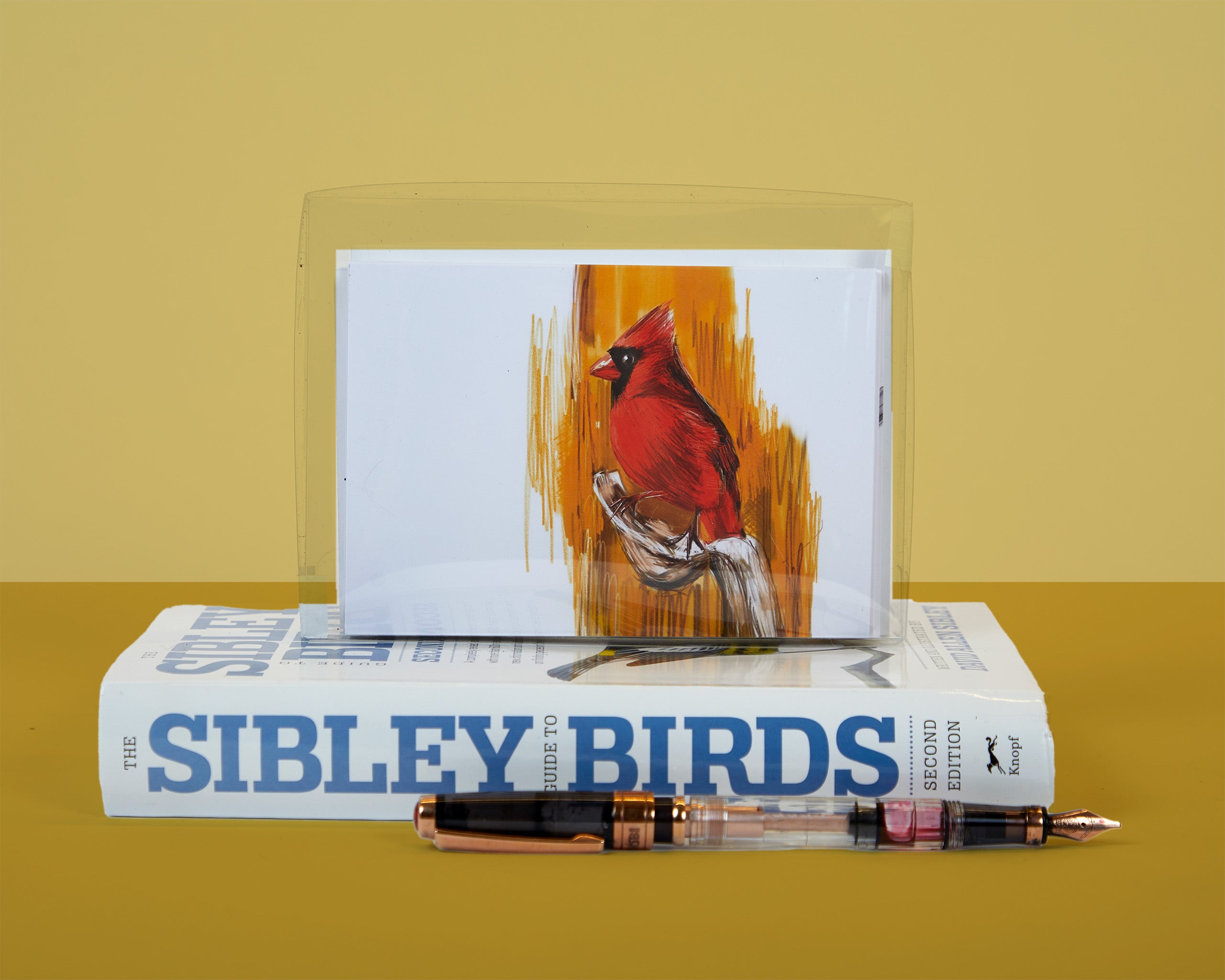 Bird Greeting Card Variety Box Set