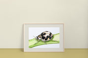 20-spotted lady beetle (Psyllobora vigintimaculata) Art Print