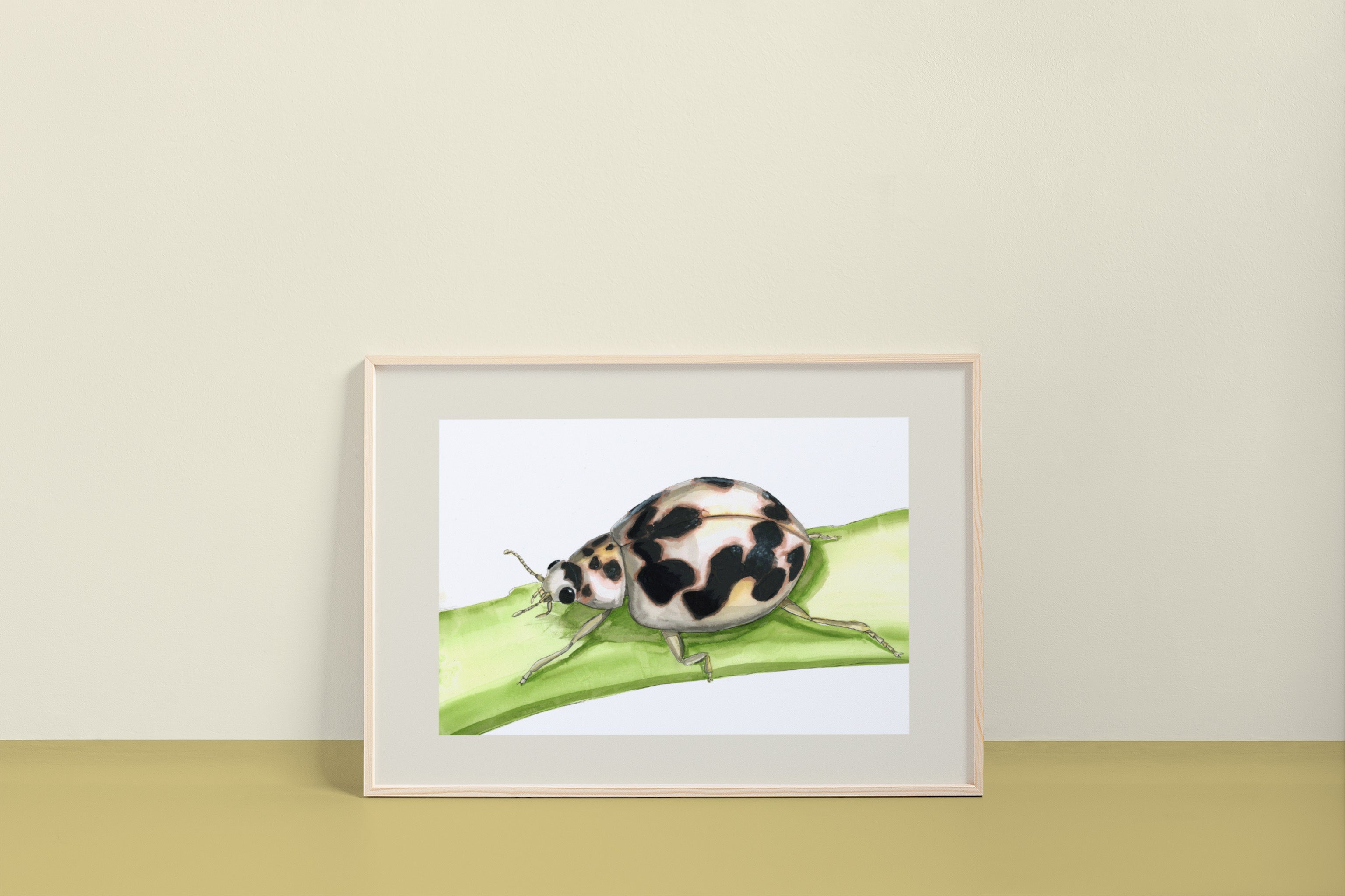 20-spotted lady beetle (Psyllobora vigintimaculata) Art Print