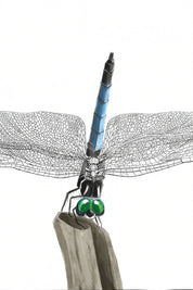 Blue Dasher (Pachydiplax longipennis) Art Print