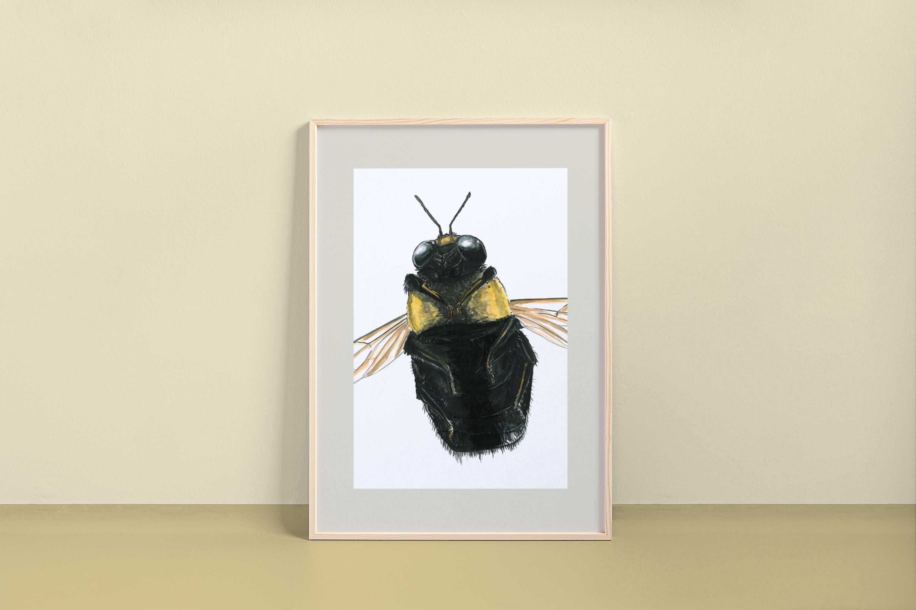 Carpenter Bee (Xylocopa) Art Print