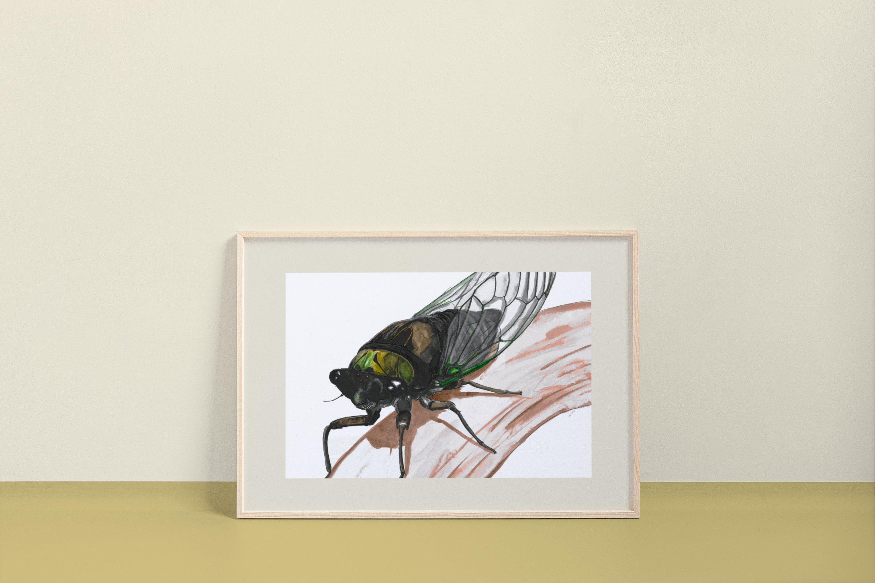 Dog Day Cicada (Tibicen canicularis) Art Print