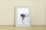 Eastern Elm Saw Fly (Cimbex americana) Art Print
