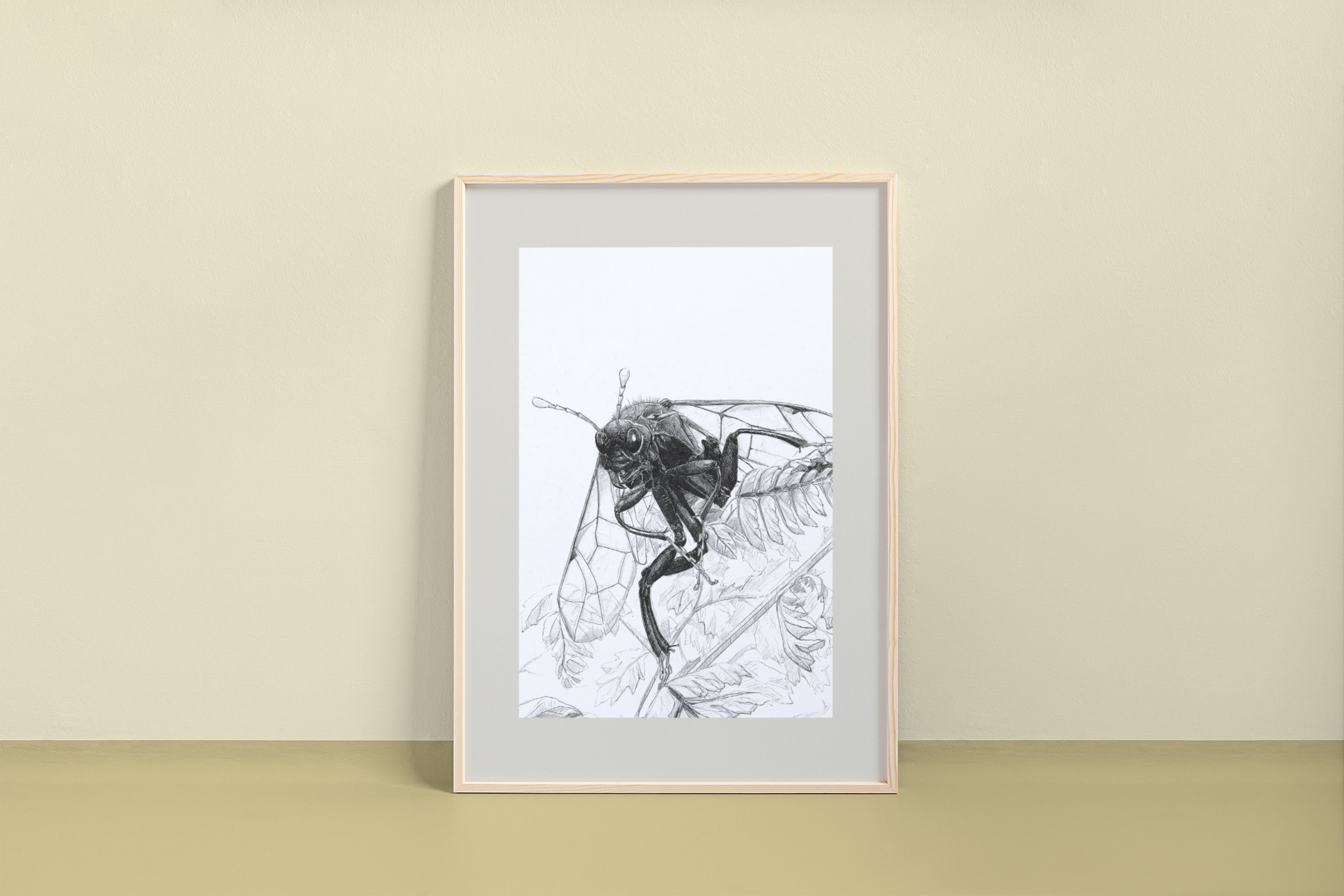 ocelli_insect-art_Eastern-Elm-Saw-Fly_print_mockup.jpg