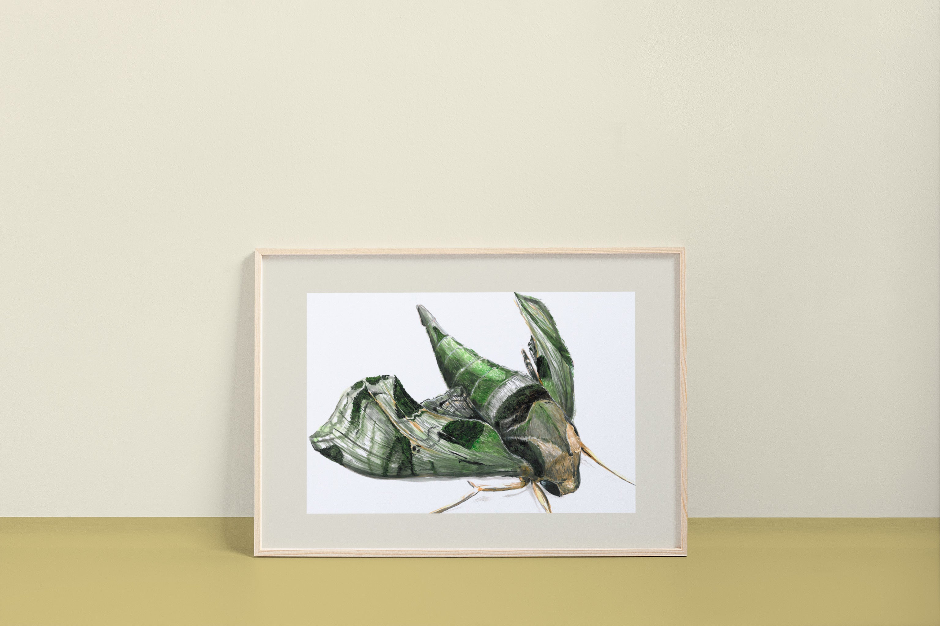 Pandora Sphinx Moth (Eumorpha pandorus) Art Print