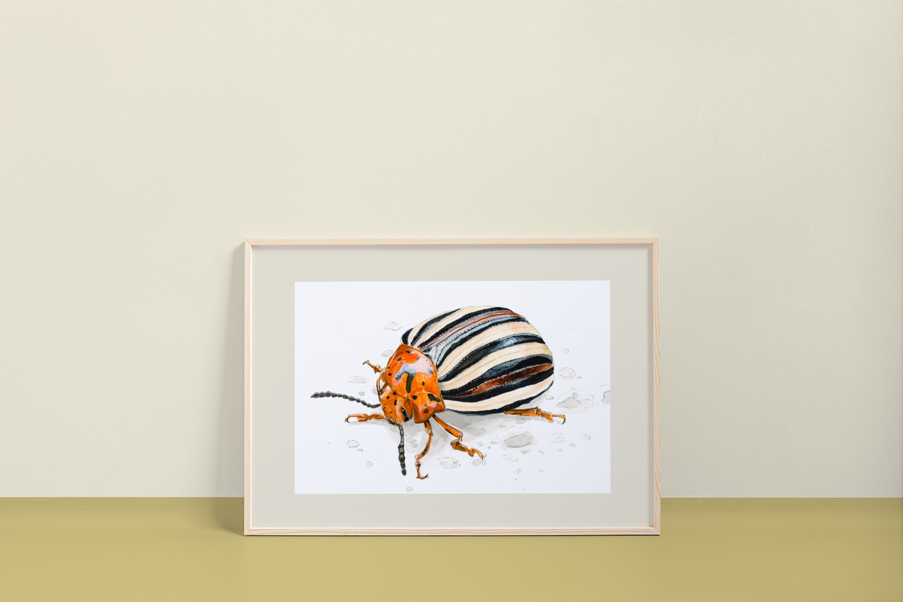 ocelli_insect-art_false-potato-beetle_print_mokcup.jpg