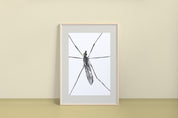 Giant Crane Fly (Tipula abdominalis) Art Print