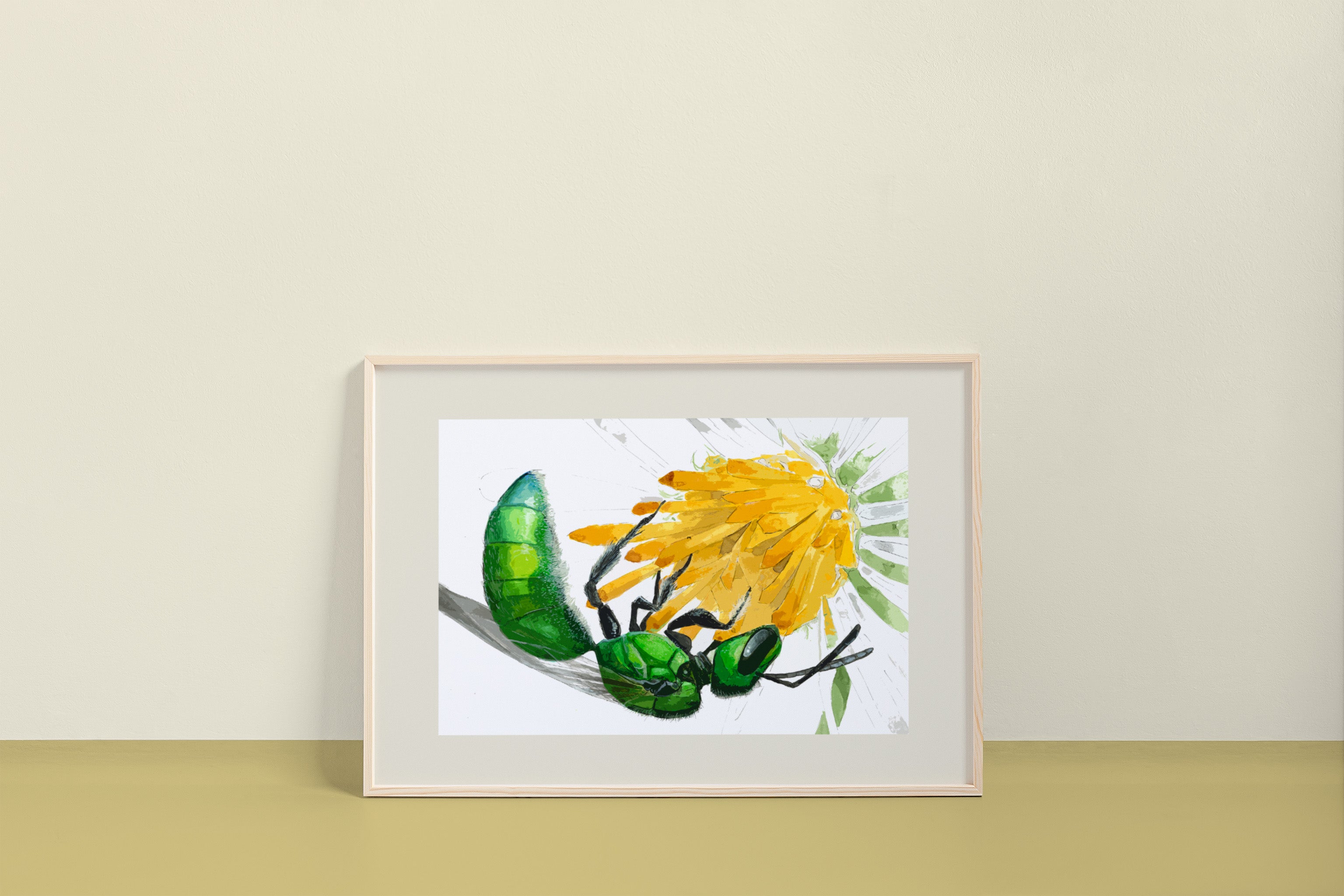 Pure Green Sweat Bee (Augochlora pura)