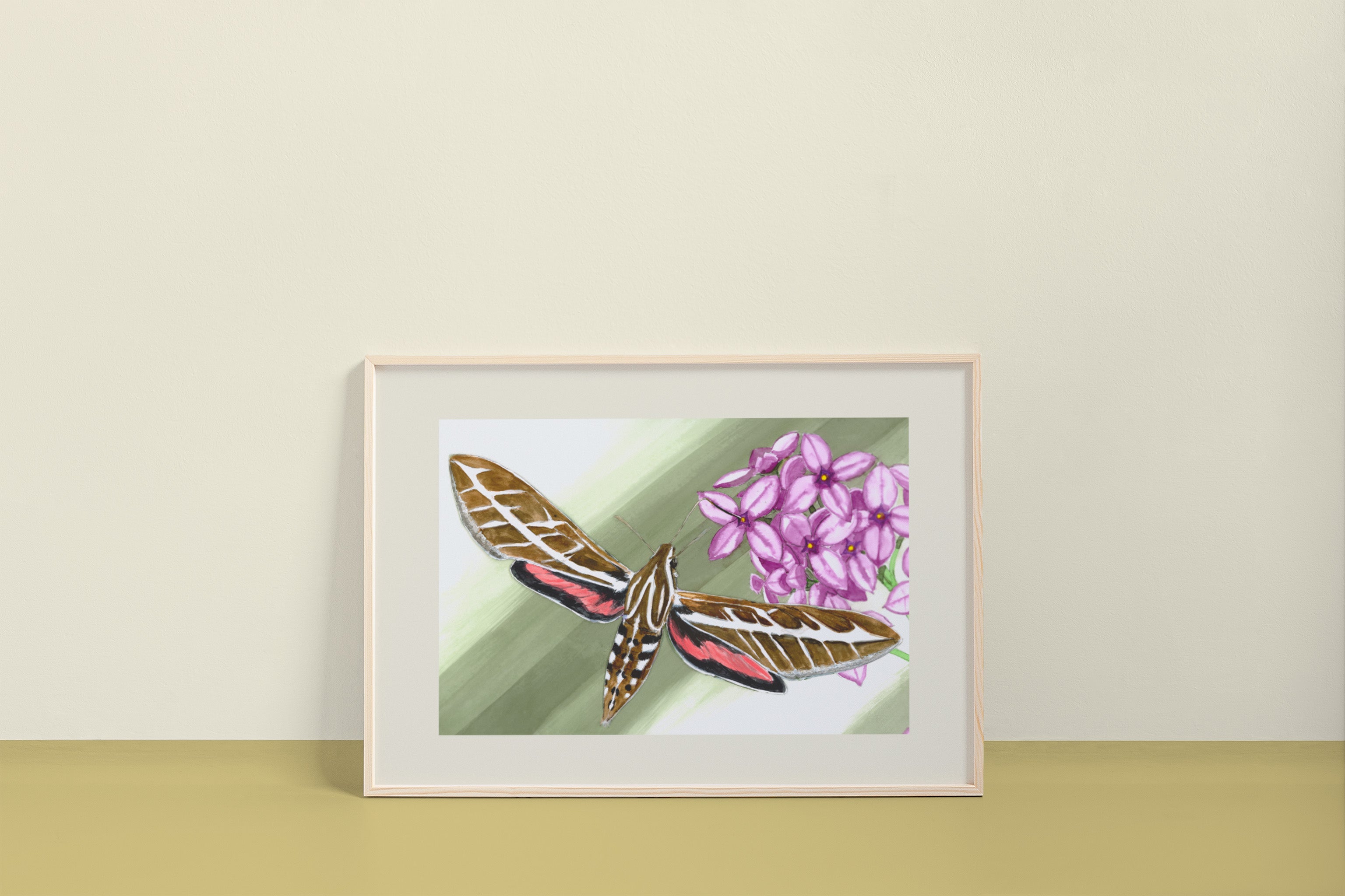 ocelli_insect-art_white-lined-sphinx_mockup.jpg