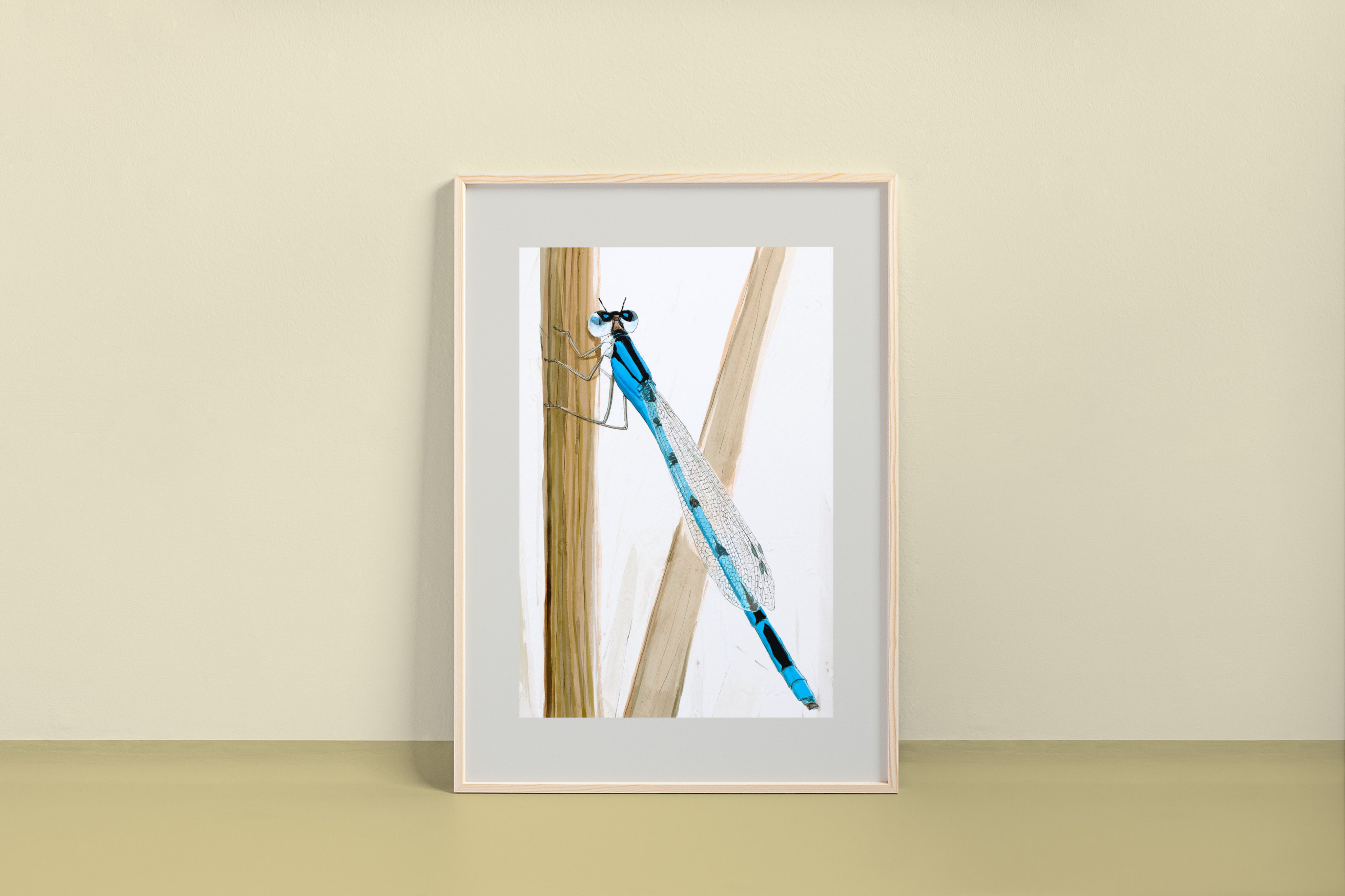 Azure Damselfly (Coenagrion puella) Art Print