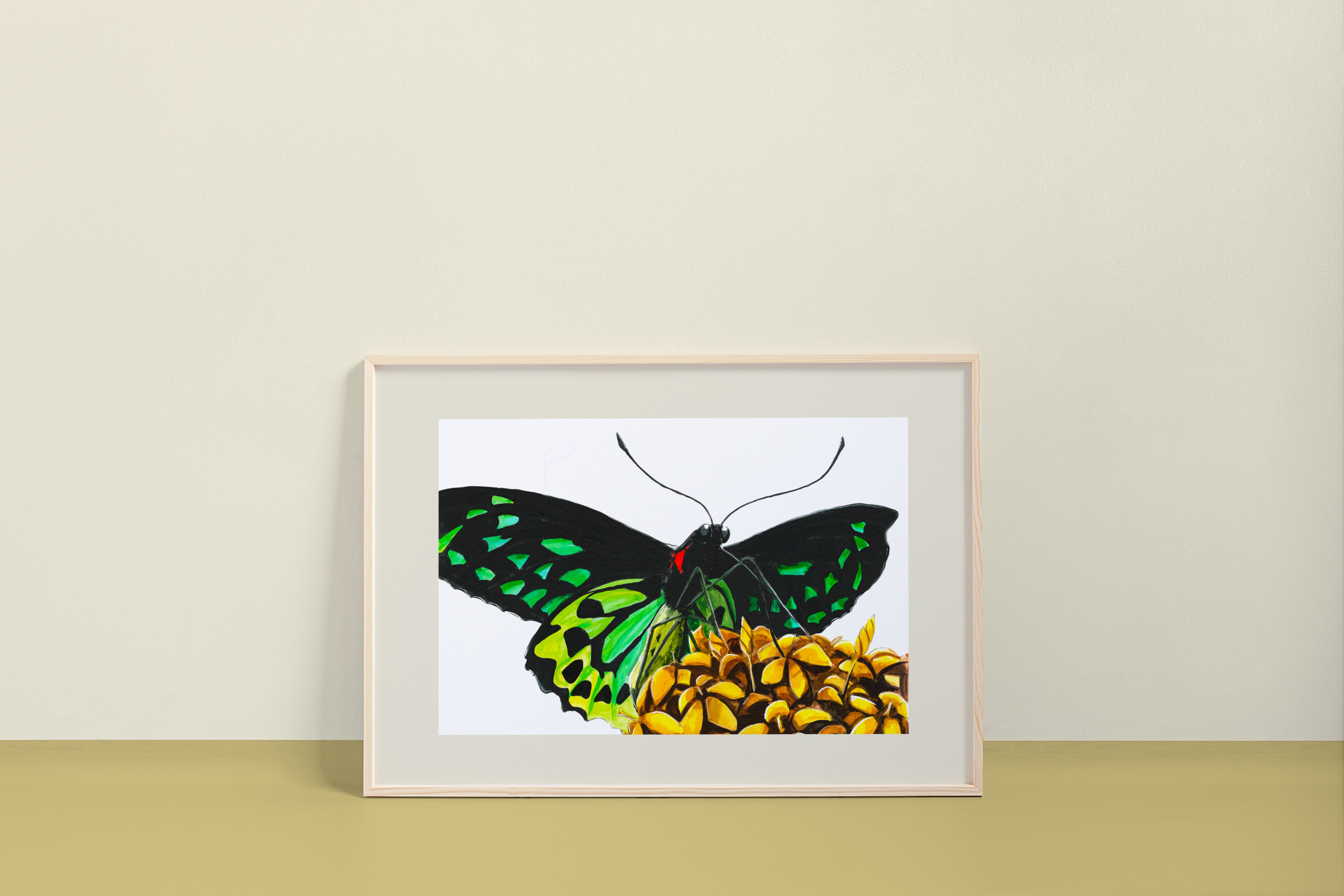 ocelli_insectart_Cairns-Birdwing-Butterfly_Ornithoptera-euphorion__4x6_mockup.jpg
