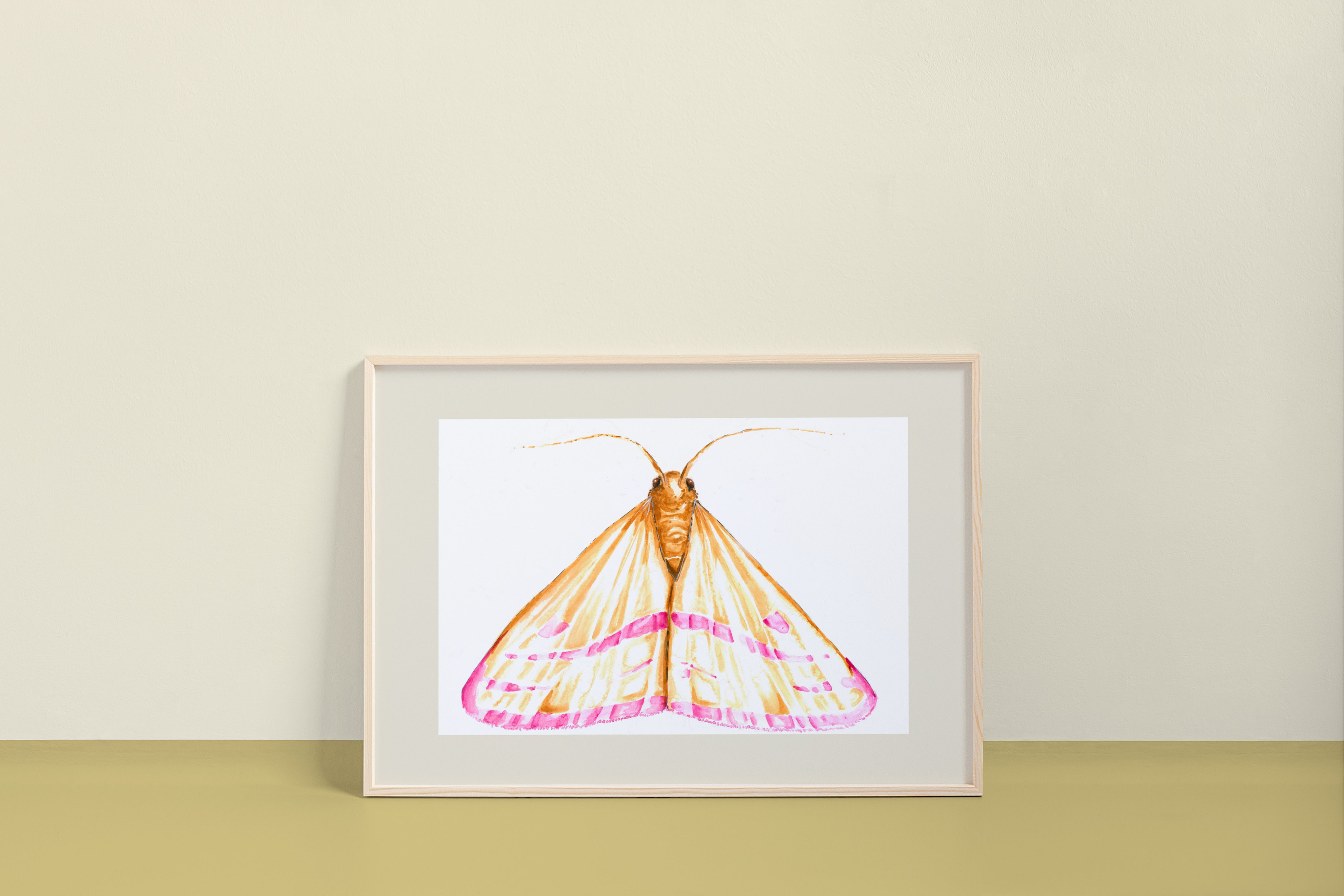 Chickweed Geometer Moth (Haematopis grataria) Art Print