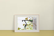 Chinese Mantis (ink drawing) - (Tenodera sinensis) Art Print