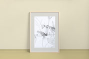 Chinese Mantis (pencil drawing) - (Tenodera sinensis) Art Print