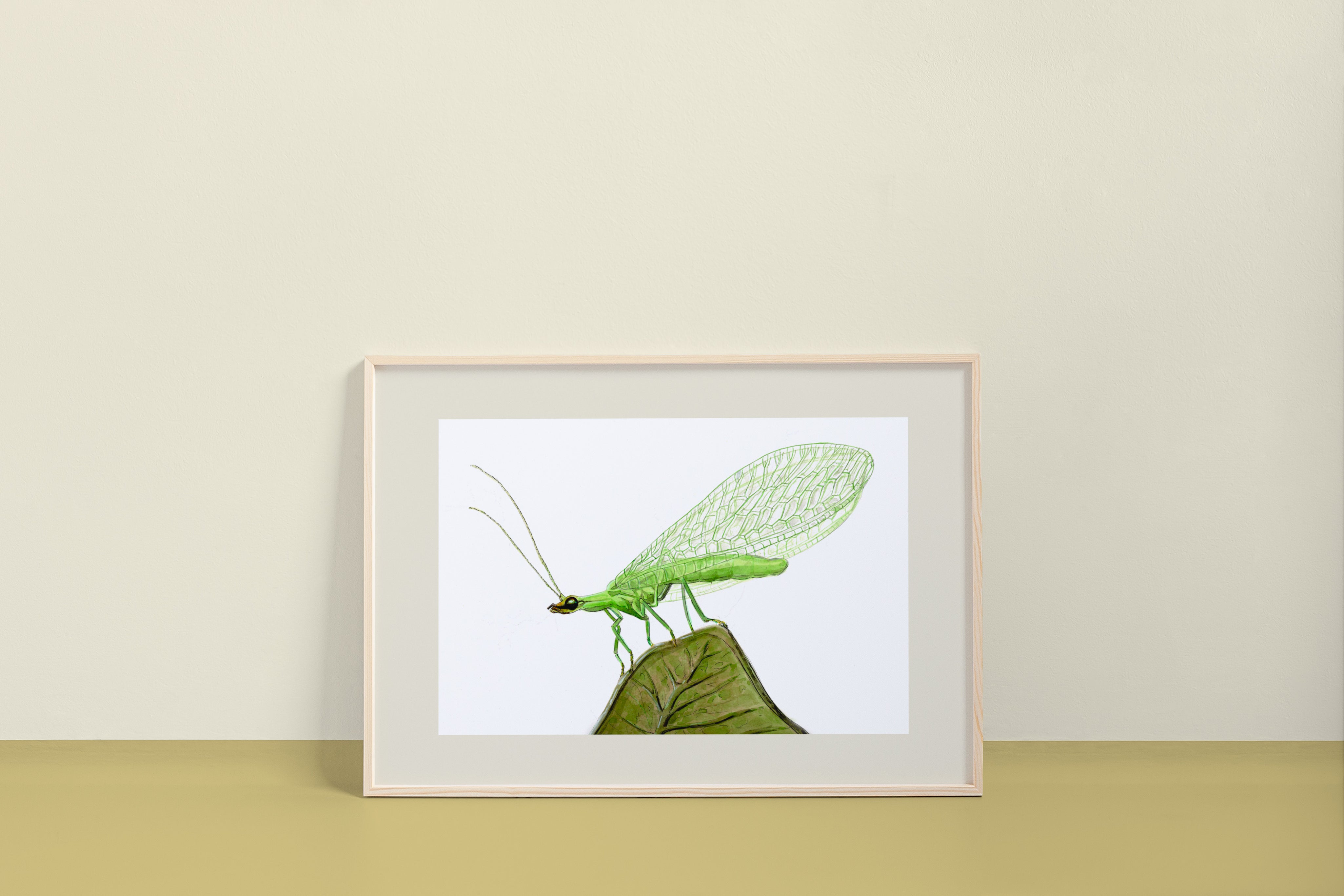 Green Lacewing (Chrysopidae) Art Print