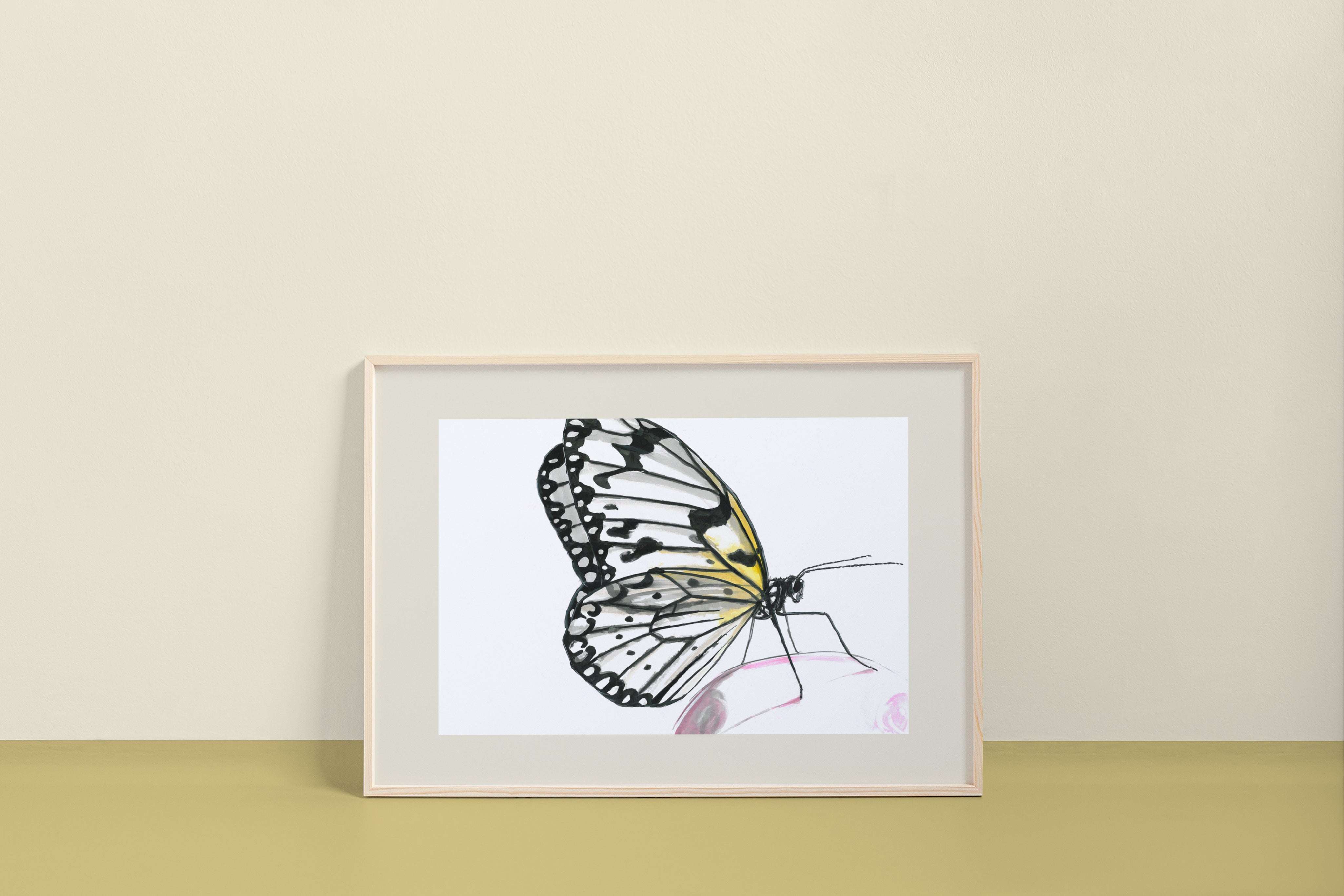Rice Paper Butterfly (Idea leuconoe) Art Print