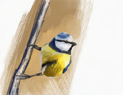 Eurasian Blue Tit Art Print