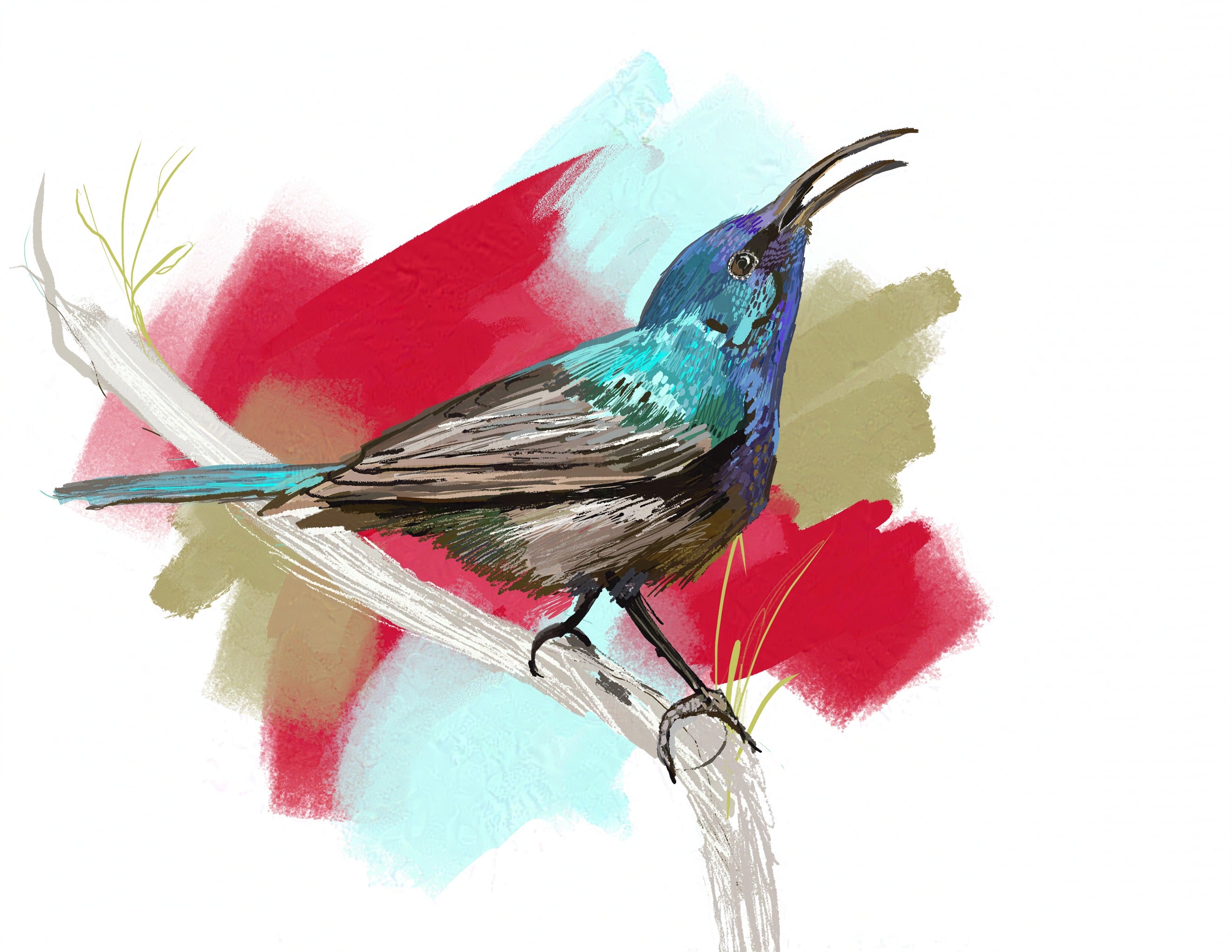 Palestine Sunbird Art Print