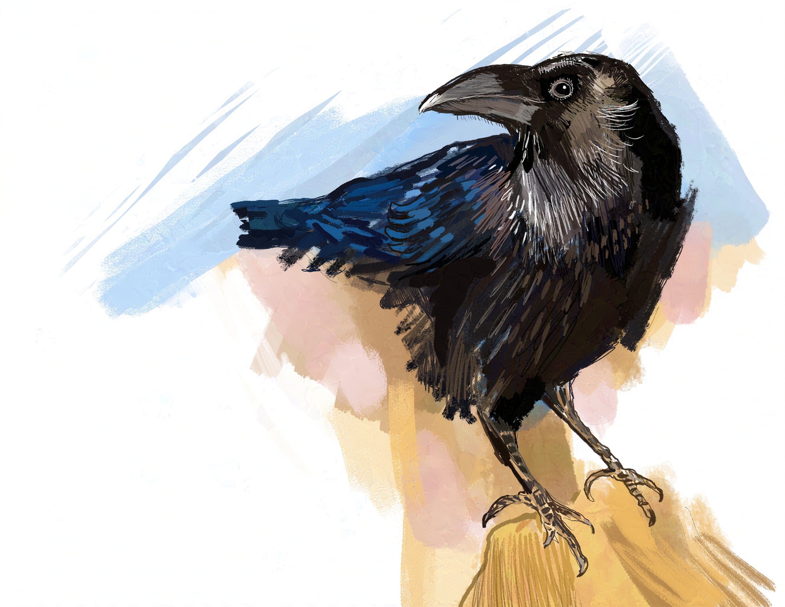 resetreality_bird_art_common_raven_digital_print-ns.jpg