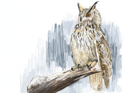 Eurasian Eagle Owl Art Print