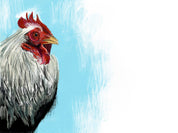 Iowa Blue Chicken Art Print