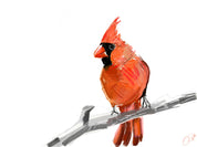 Northern Cardinal (2014) Art Print