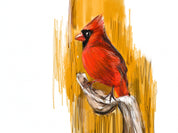 Northern Cardinal (Orange Background) Art Print