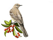 Northern Mockingbird Art Print