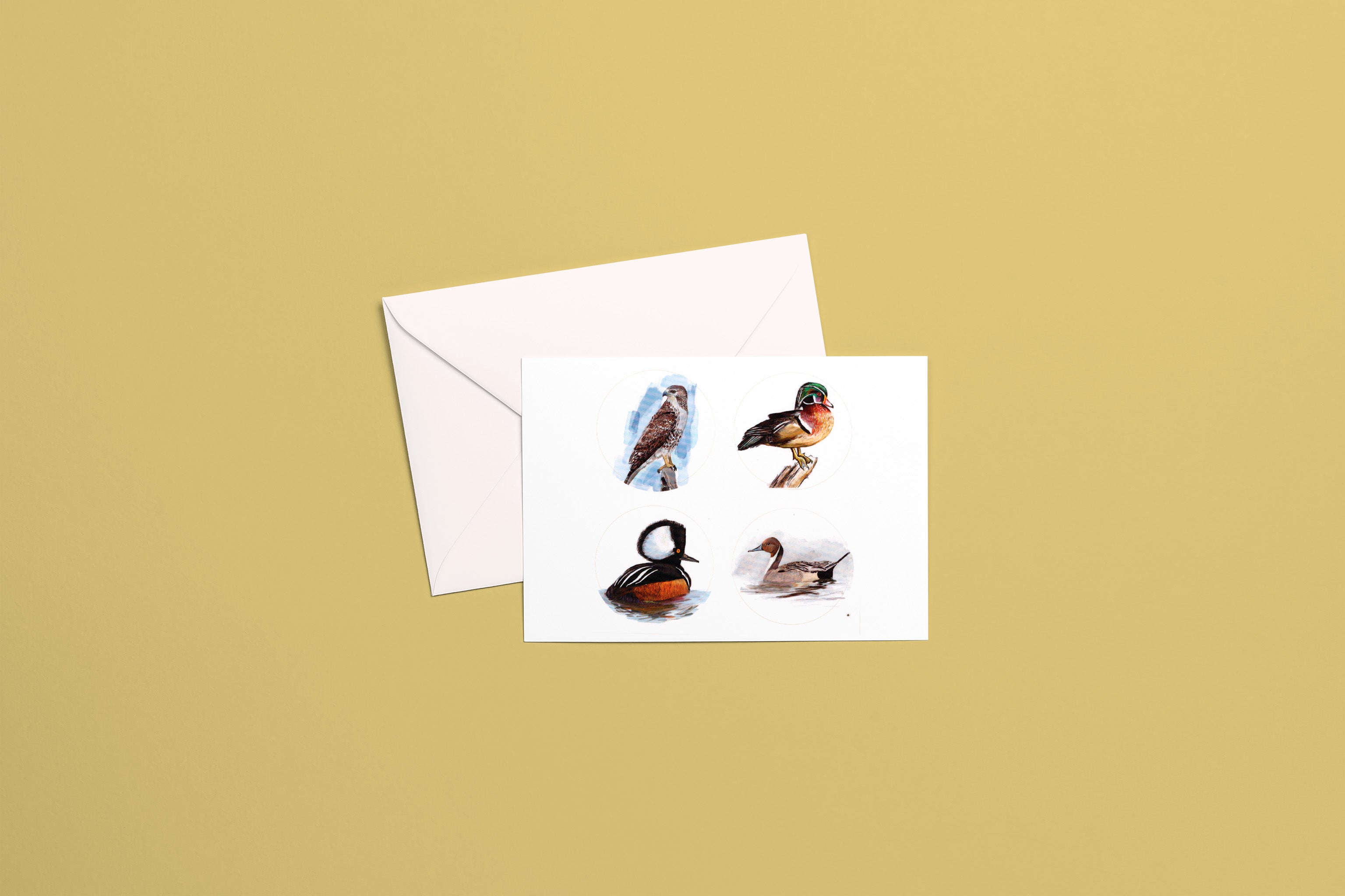 Bird Stickers: Variety Surprise Pack of Two Sheets (8 stickers)