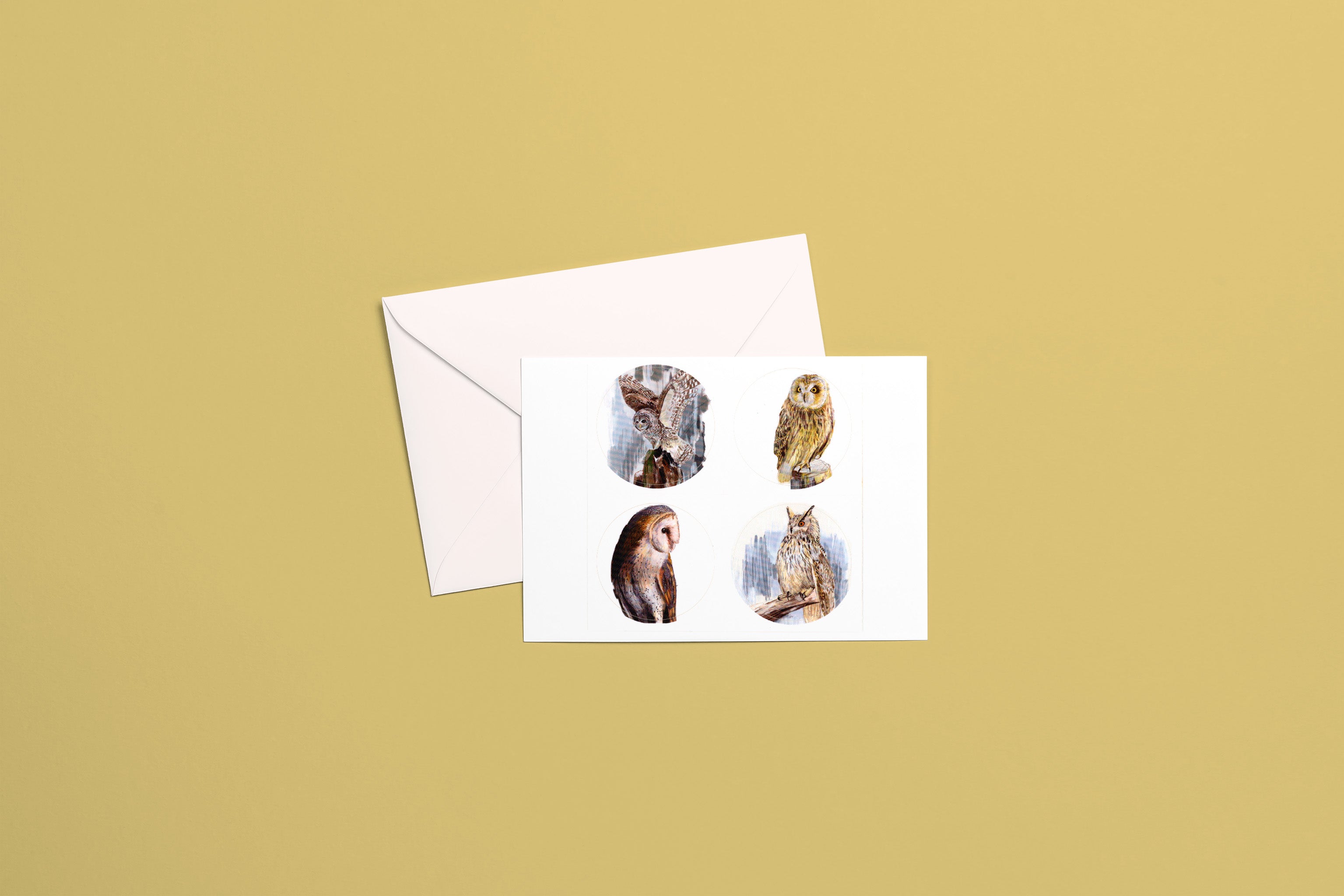 Bird Stickers: Variety Surprise Pack of Two Sheets (8 stickers)