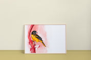 Baltimore Oriole Art Print