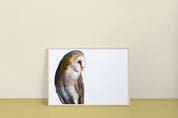 Barn Owl Art Print