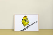 Cape May Warbler Art Print