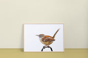 Carolina Wren Art Print