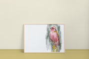 Chinese Beautiful Rosefinch Art Print