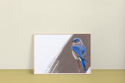 Eastern Bluebird Art Print