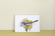 Florida Scrub-Jay Art Print