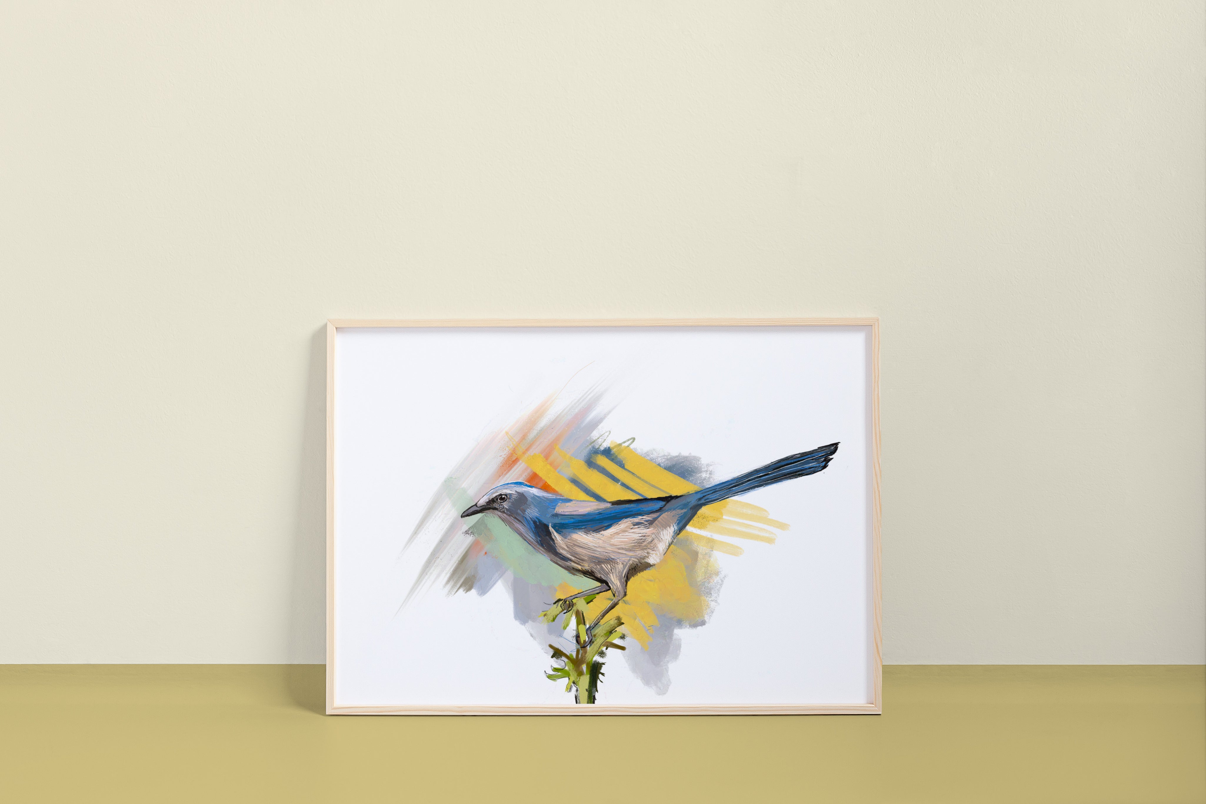 Florida Scrub-Jay Art Print