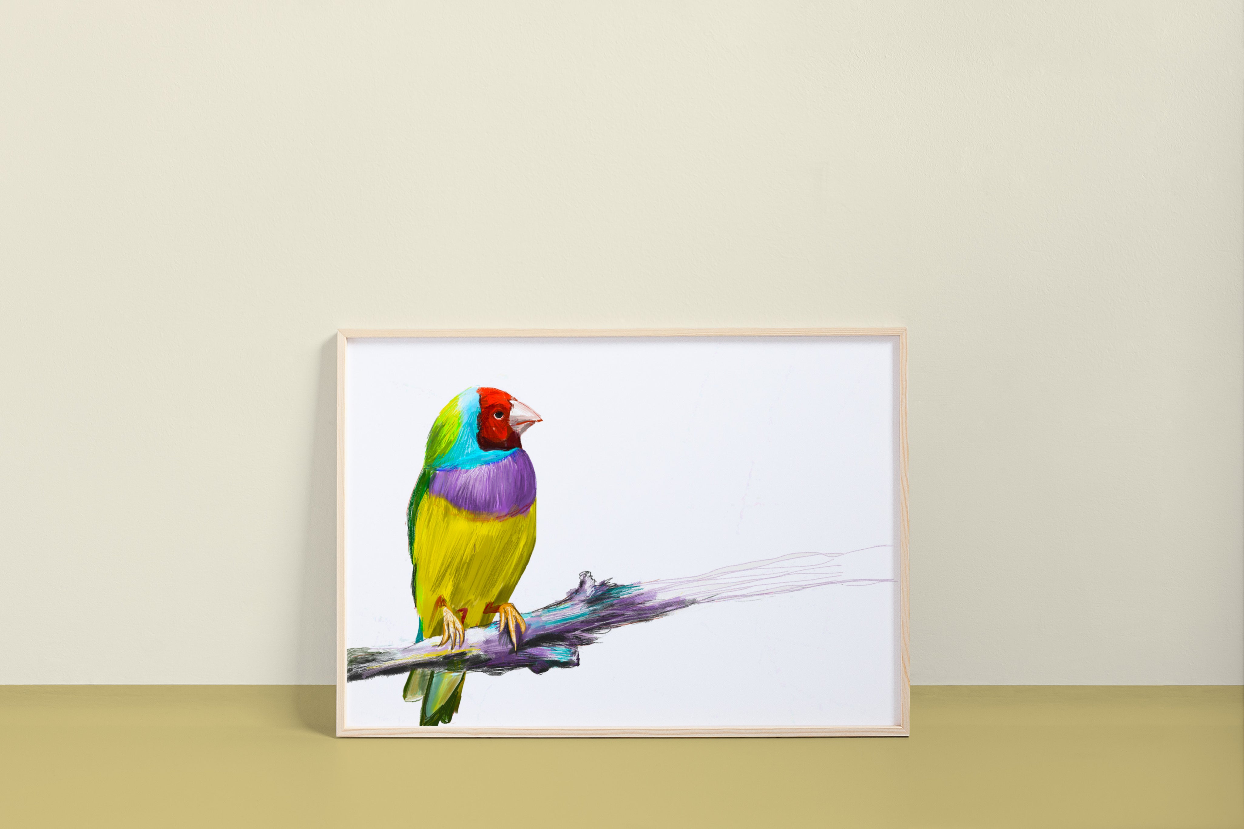 Gouldian Finch Art Print