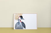 Gray-crowned Crane Art Print