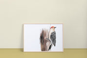 Red-bellied Woodpecker Art Print