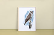 Red-tailed Hawk Art Print