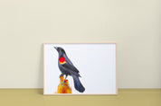 Red-winged Blackbird Art Print