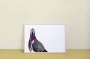Rock Pigeon Art Print