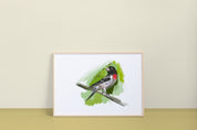 Rose-breasted Grosbeak Art Print