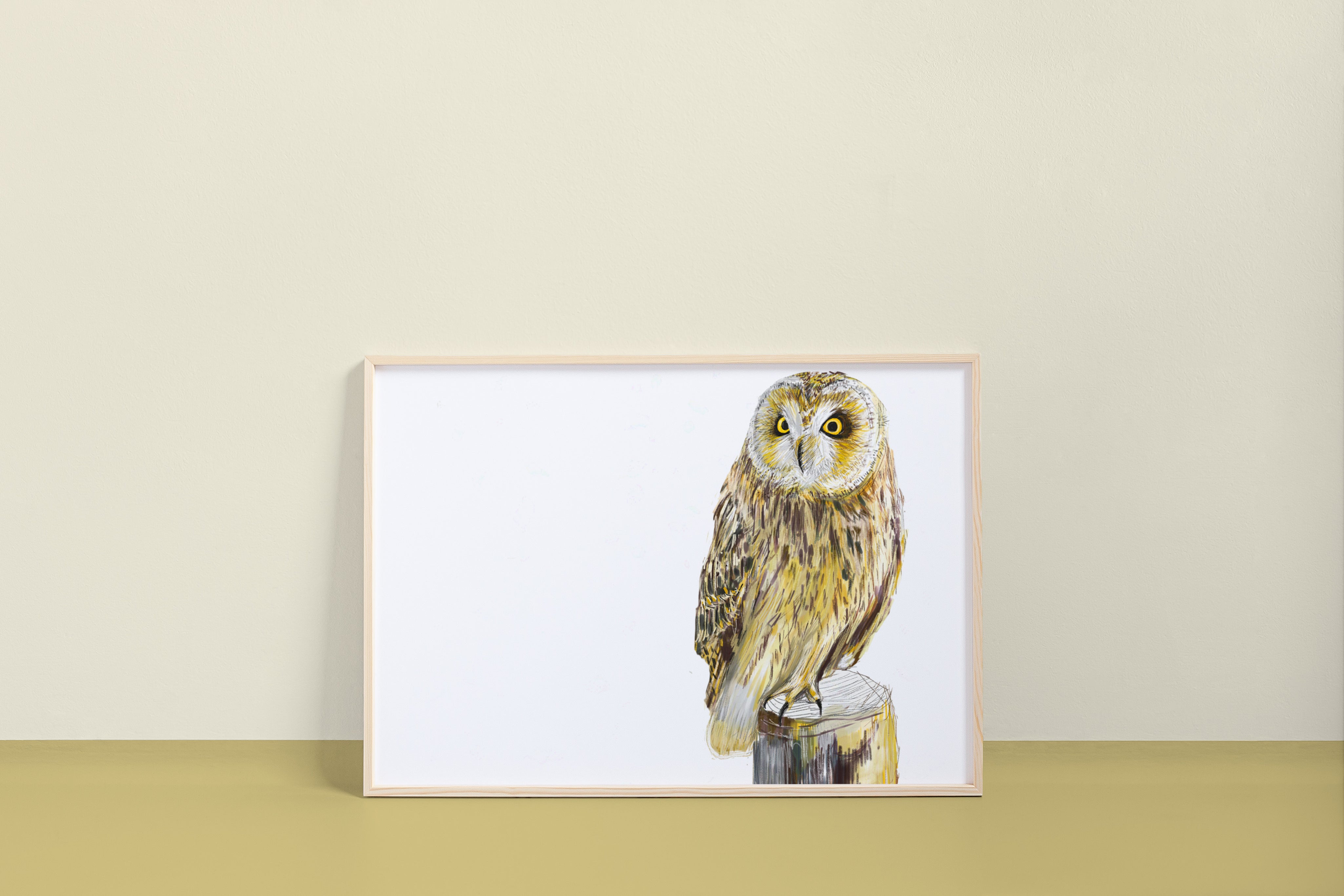 Short-eared Owl Art Print