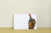 Wild Turkey Art Print