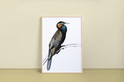 African Darter Art Print